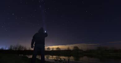 pescare di notte
